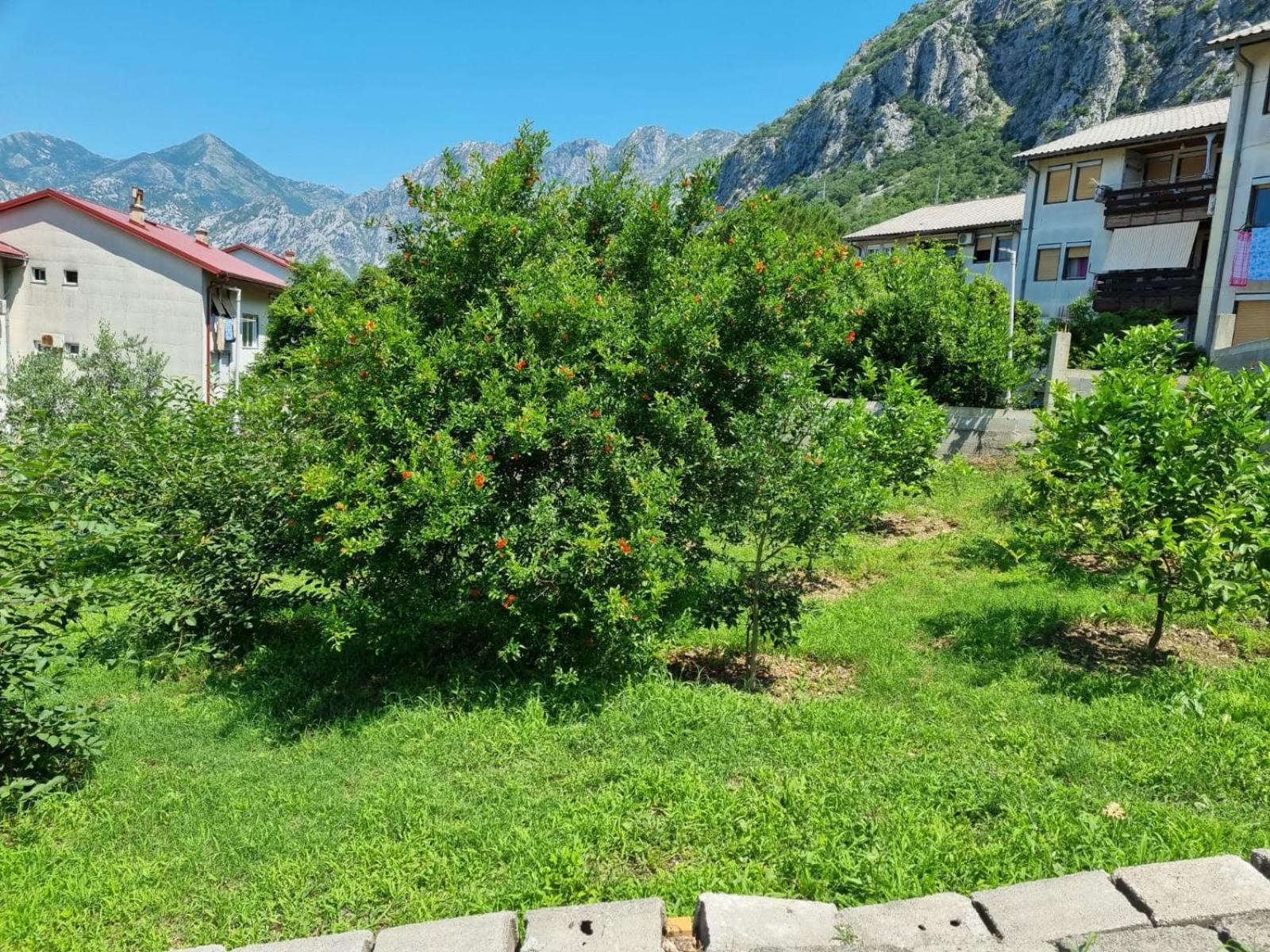 Apartments Luka Kotor Exterior photo